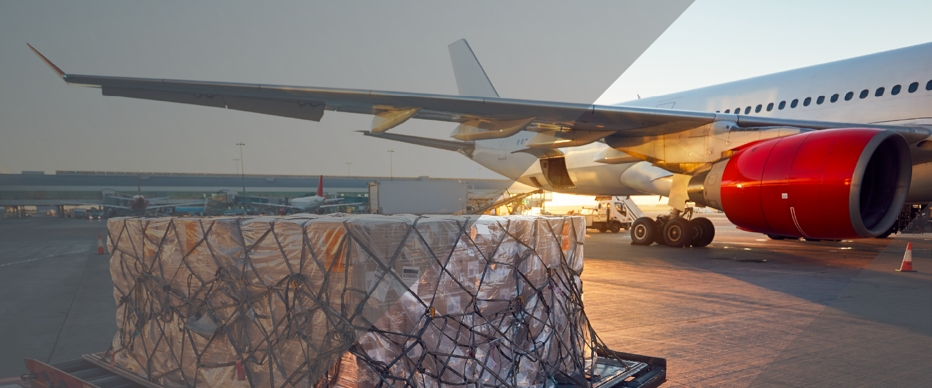 Domestic Airfreight Solutions