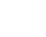 Automotive and Spares
